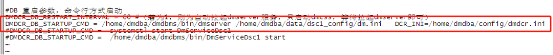 修改后的 dmdcr.ini 文件