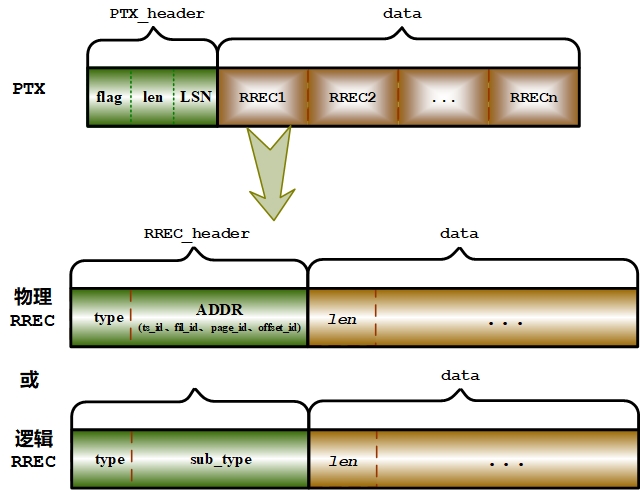 PTX和RREC结构图